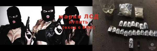 прущий лед Алзамай