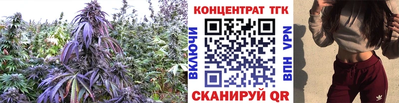 Дистиллят ТГК концентрат  Купить где  Агрыз 
